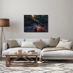 Obraz na szkle - górska rzeka (70x50 cm)
