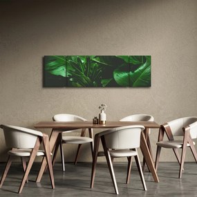 Obraz - Liście palmowe (170x50 cm)