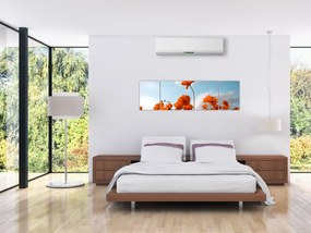 Obraz - Łąkowe kwiaty (170x50 cm)