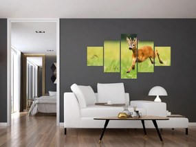 Obraz - Sarna (125x70 cm)