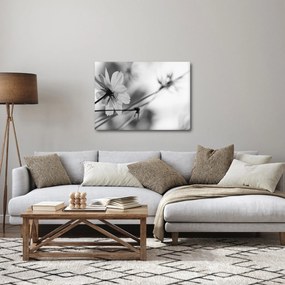 Obraz - Czarno - białe kwiaty (70x50 cm)