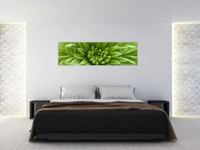 Obraz - Obraz rośliny w trybie makro (170x50 cm)