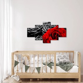 Obraz - Kwiaty róży (125x70 cm)