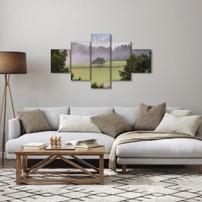 Obraz łąki z drzewem (125x70 cm)