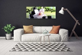 Obraz canvas Promienie Słońca w Zielonych Liściach