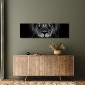 Obraz - lew i jego majestatyczność (170x50 cm)