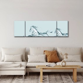 Obraz - Konie z kropli wody (170x50 cm)