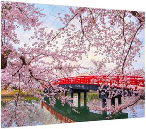 Obraz na szkle - Hirosaki, Japonia (70x50 cm)