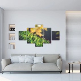 Obraz mchu z grzybem (125x70 cm)