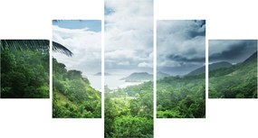 Obraz - Dżungla Seszeli (125x70 cm)