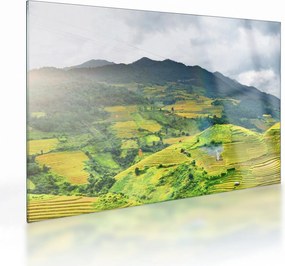 Obraz na szkle - plantacja (70x50 cm)