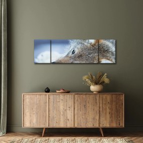 Obraz - Wilk (170x50 cm)