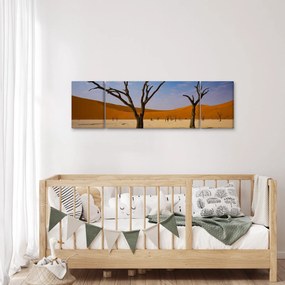 Obraz - Dolina Śmierci (170x50 cm)