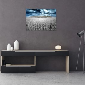 Obraz na szkle pola (70x50 cm)