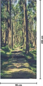 Fototapeta na drzwi - Ścieżka wśród drzew (95x205cm)