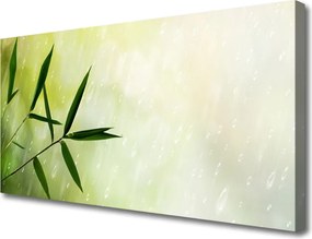 Fotoobraz na płótnie Liście w Strugach Deszczu