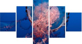 Obraz meduzy (125x70 cm)