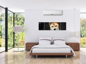 Obraz psa (170x50 cm)