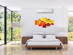 Obraz - Kwiaty Gerbery (125x70 cm)