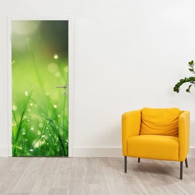 Fototapeta na drzwi - Rosa na trawie (95x205cm)