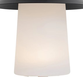 Zestaw 2 lamp stołowych grzyb czarny w tym akumulatorowa LED - Ivan