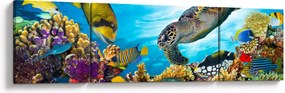 Obraz rafy koralowej (170x50 cm)