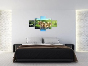 Obraz jeziora w dżungli Seszeli (125x70 cm)