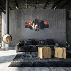 Obraz - Spojrzenie kota (125x70 cm)