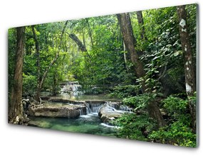 Obraz Akrylowy Leśny Las Natura Przyroda