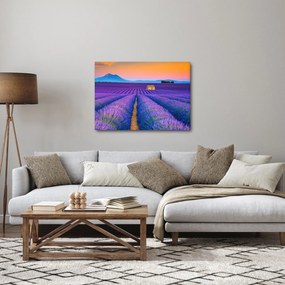 Obraz - Lewndowe pole (70x50 cm)