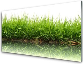 Szkło do Kuchni na Ścianę Świeżość Trawy Nad Wodą