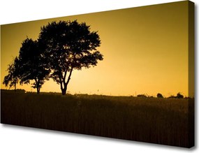 Zdjęcie na płótnie Naturalna Gęstwina Parkowa