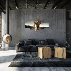 Obraz słonia (125x70 cm)