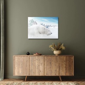 Obraz - Niedźwiedź polarny (70x50 cm)