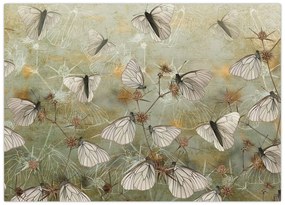 Obraz - Vintage motyle (70x50 cm)