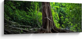 Obraz - Stare drzewo z korzeniami (z zegarem) (90x30 cm)