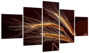 Obraz - Fragment kłosa żyta (125x70 cm)