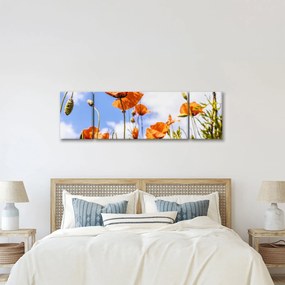 Obraz maków (170x50 cm)