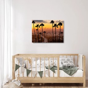 Obraz na szkle - Panorama Los Angeles (70x50 cm)