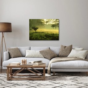 Obraz - Budzący się las (70x50 cm)