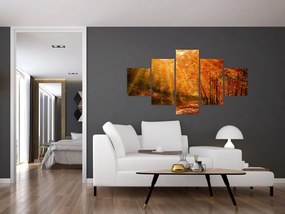 Obraz jesiennego lasu (125x70 cm)