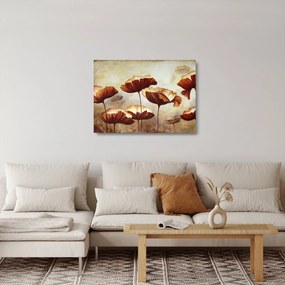 Obraz na szkle czerwonych kwiatów (70x50 cm)