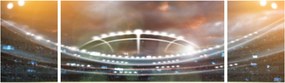 Obraz - Stadion (170x50 cm)