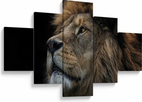 Obraz - Majestatyczny lew (125x70 cm)