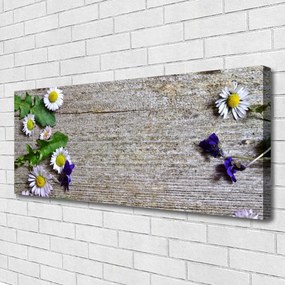 Obraz canvas Urok Polnej Stokrotki