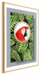 Plakat Papuga w dżungli 29,7x42 cm z ramą złotą z marginesem ARTGEIST B