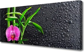 Fotoobraz na płótnie Bambus i Rosa o Poranku