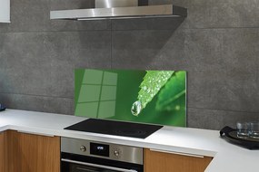 Szklany Panel Poranny Detal na Liściu