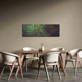 Obraz - Detal sosny (z zegarem) (90x30 cm)