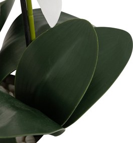 Sztuczny storczyk MICK w ceramicznej doniczce, 80 cm